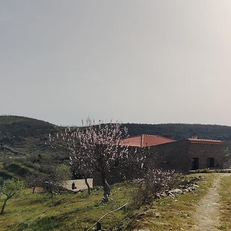 Villa Eira Da Fraga Vila Nova de Foz Côa Exterior foto